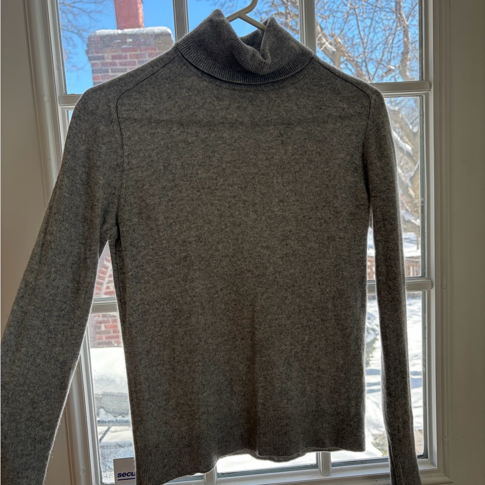 Everlane Cashmere Turtleneck - Picture 6 of 6